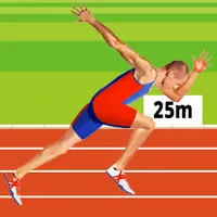 Ragdoll Runners