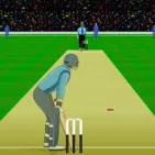 The Dominator Cup is a completely new sports game that is catered to people who are passionate about baseball. Attempt to win as many games as you can while playing the role of a baseball player.